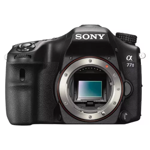 Фотоаппарат зеркальный Sony Alpha ILCA-A77 II Body Black (ILCA-77M2) - Аксессуары