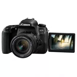 Фотоаппарат зеркальный Canon EOS 77D EF-S 18-55 IS STM Kit