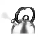 Чайник Rondell Premiere RDS-237 2,4л